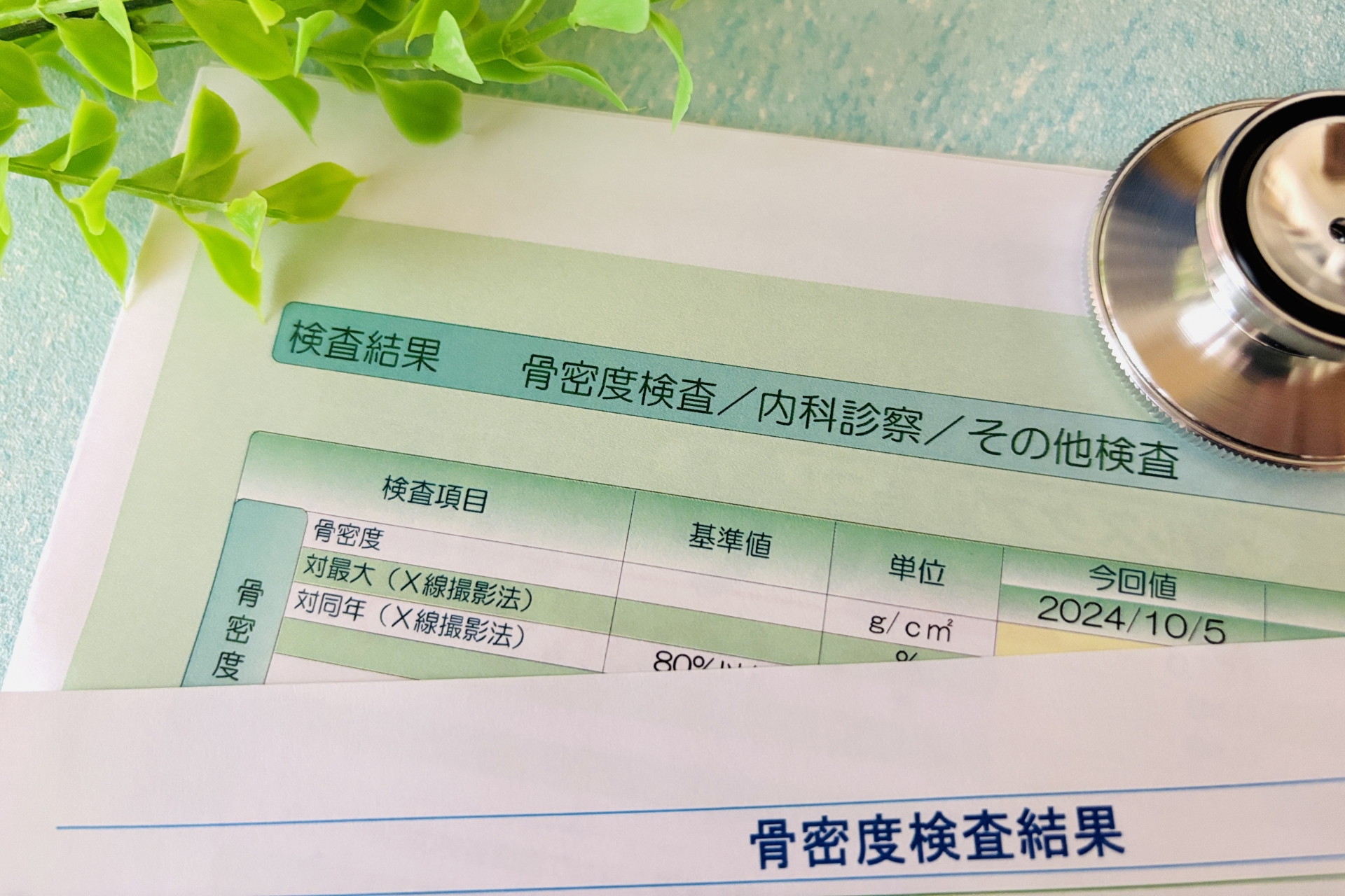 骨密度